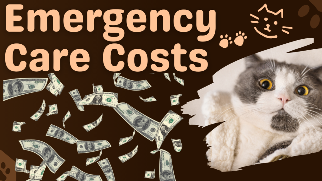 The Comprehensive Guide to the Costs of Owning a Cat