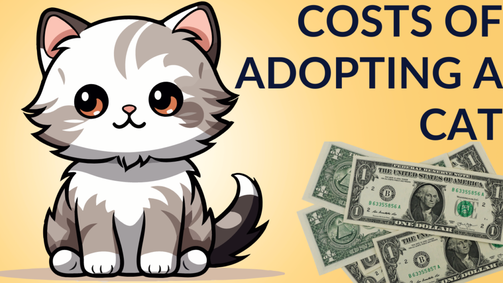 The Comprehensive Guide to the Costs of Owning a Cat