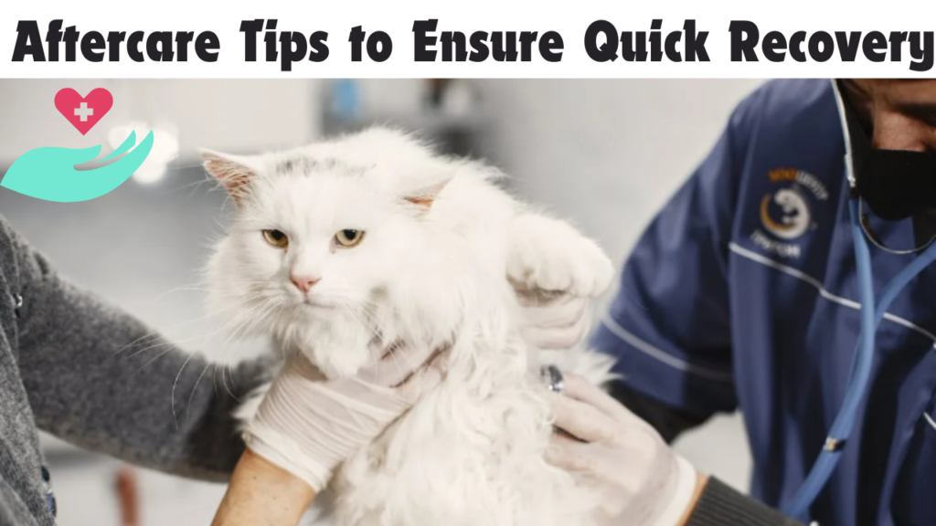 Aftercare Tips to Ensure Quick Recovery