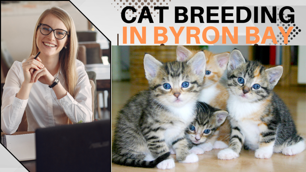 The Ultimate Guide to Finding the Best Cat Breeder in Byron Bay