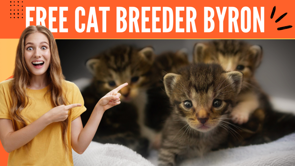 Free Cat Breeder Byron: A Comprehensive Guide to Finding Your Perfect Feline Companion