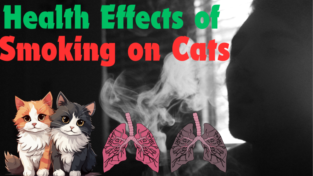 Is Smoking Bad for Cats' Lungs