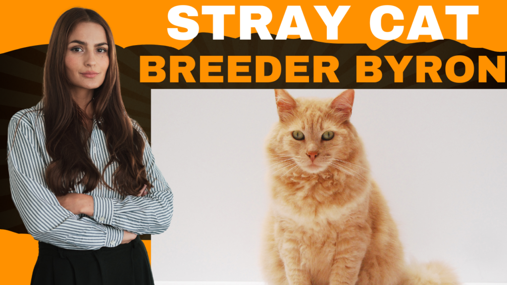 Stray Cat Breeder Byron: A Comprehensive Guide