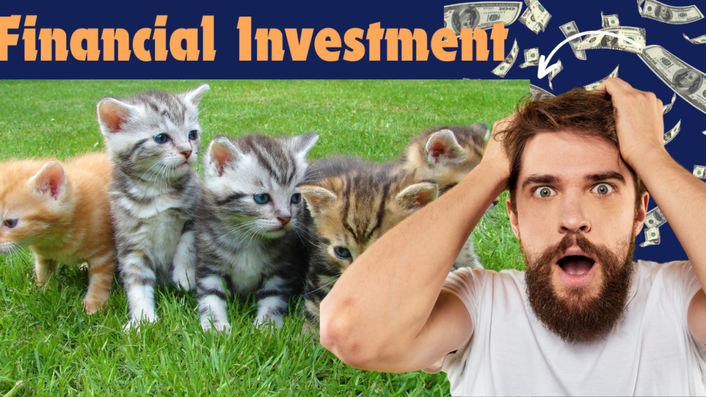 The Comprehensive Guide to Becoming a Successful Cat Breeder