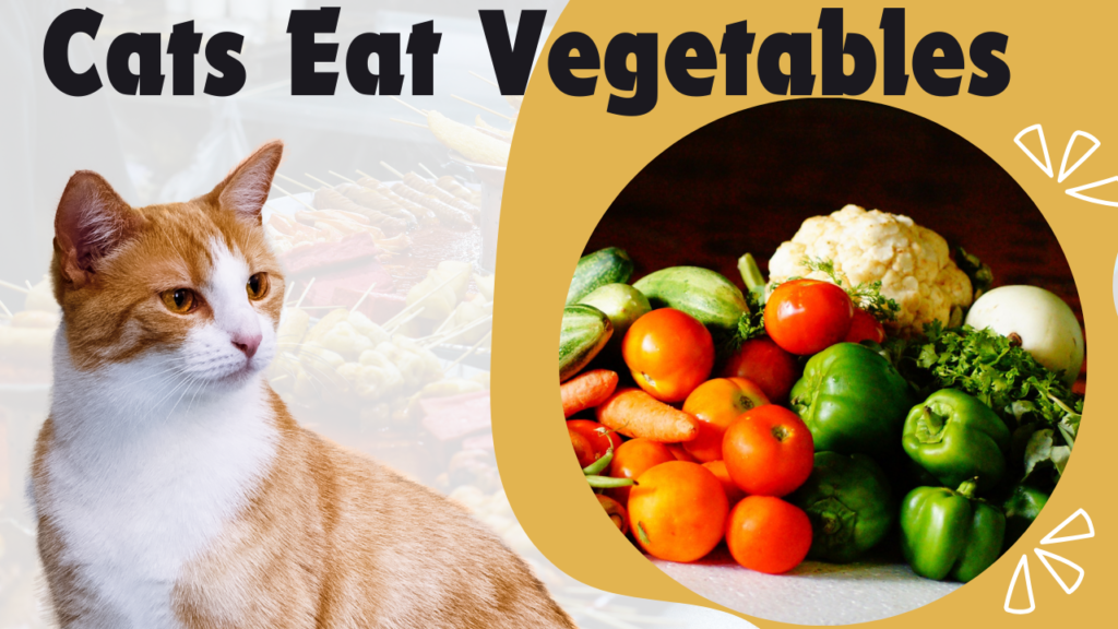 Cats Eat Vegetables