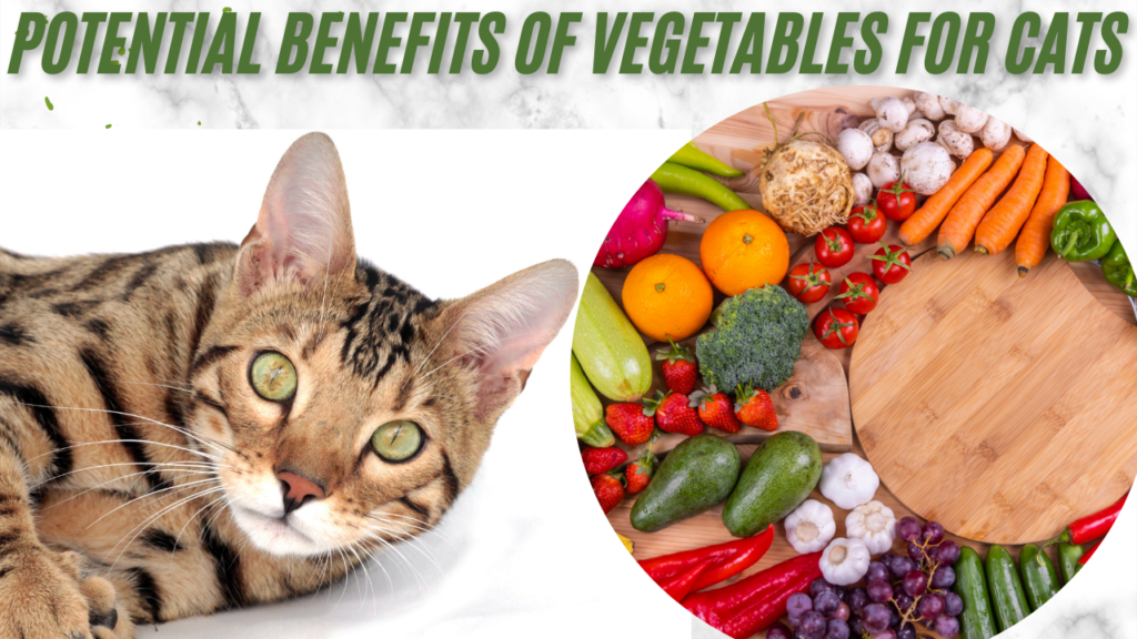 benefits of cat eat vegetables