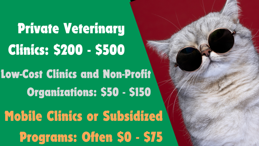 How Much Does It Cost to Neuter a Cat?