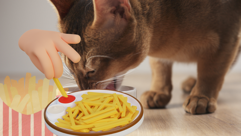 cat eat french fries