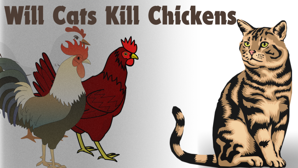 Cats Kill Chickens