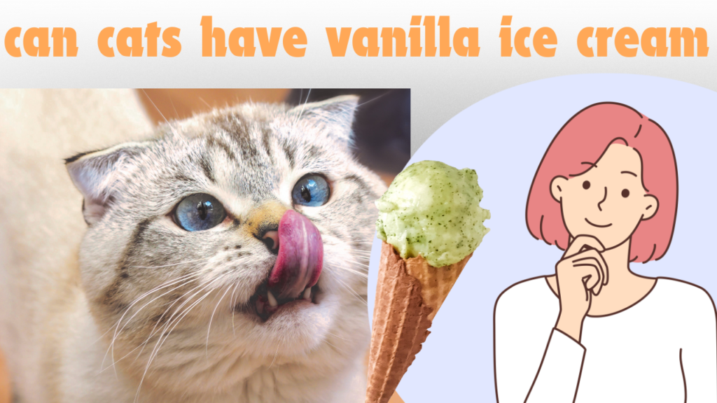 cat eat ice cream