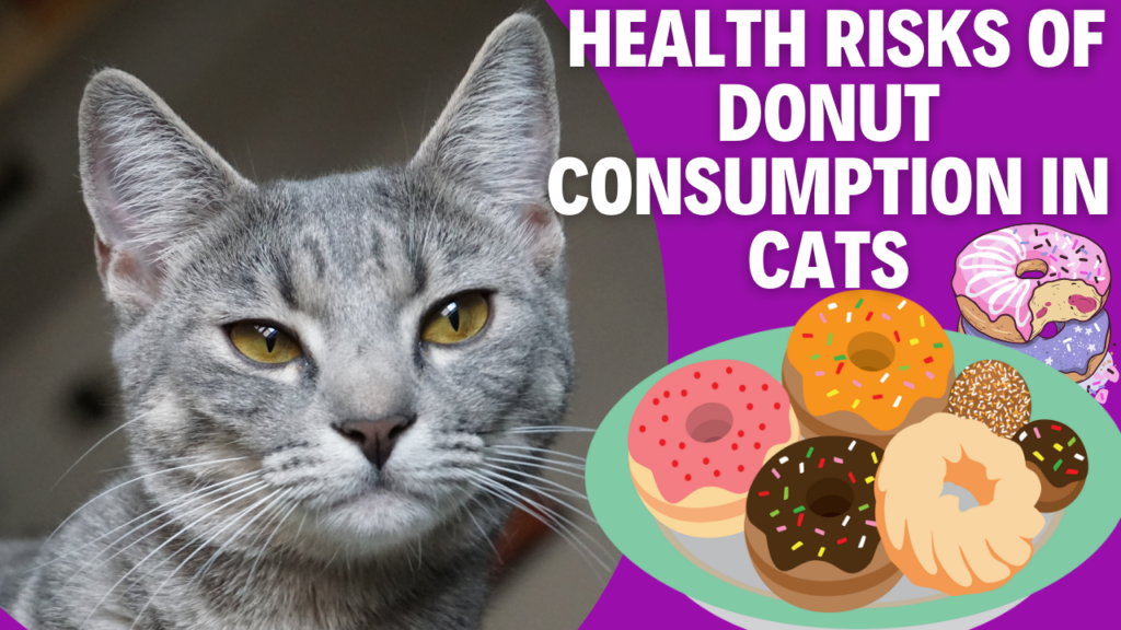 Health Risks of Donut Consumption in Cats