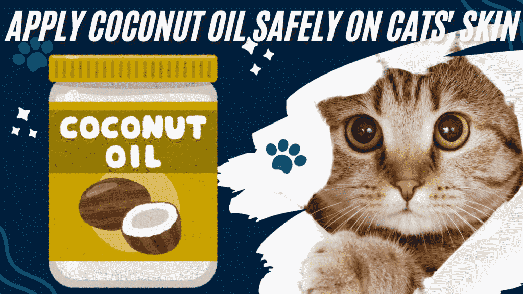 Apply Coconut Oil Safely on Cats' Skin 