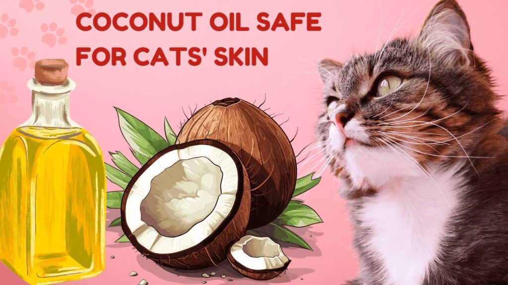 Coconut Oil Safe for Cats' Skin