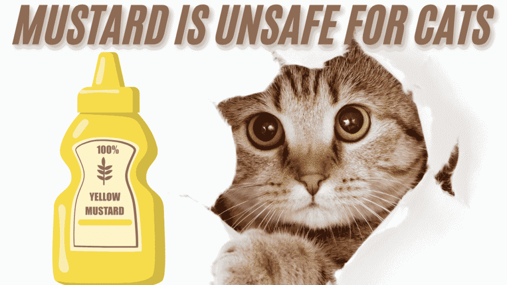 mustard unsafe for cat