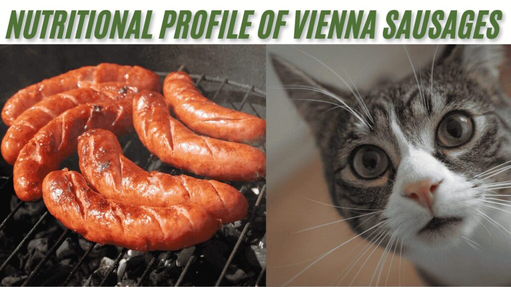 Vienna Sausages providing Nutritional a cat