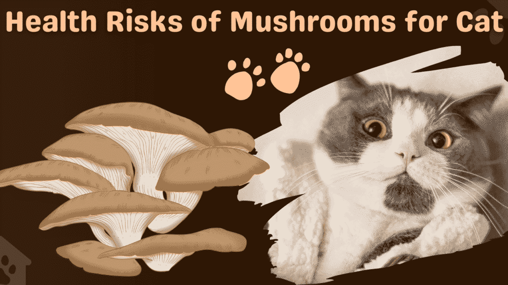 Health Risks Mushrooms