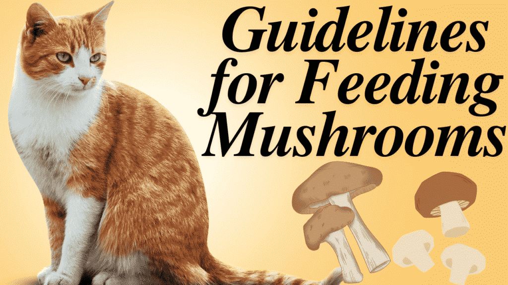 guidelines mushrooms for cat